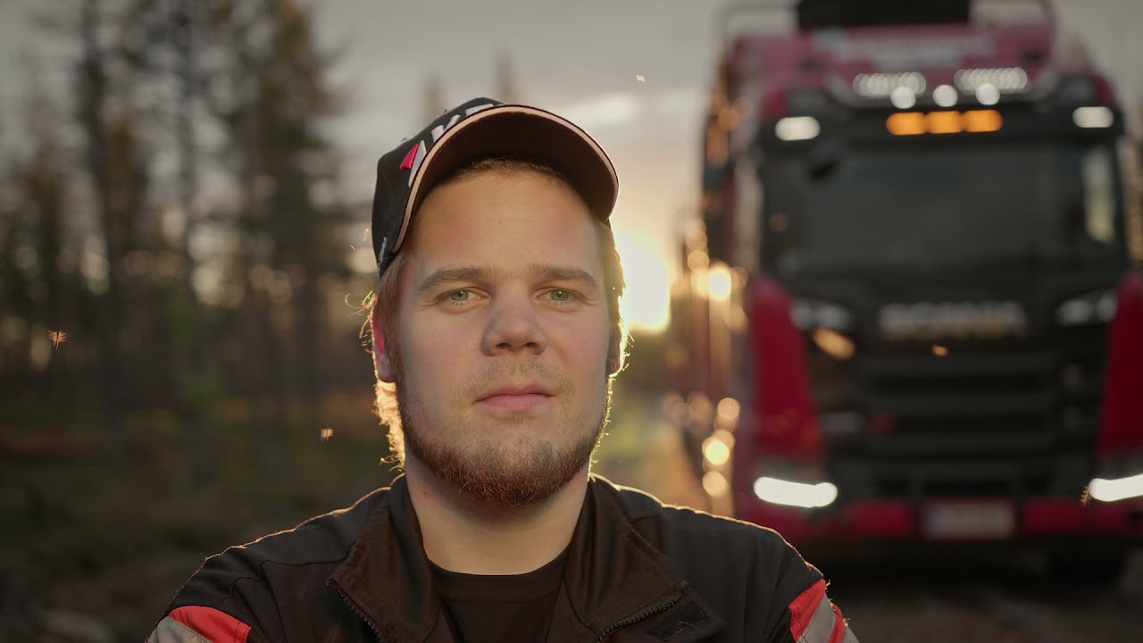 MKY: Puunajoa keskiyön auringossa Lapissa