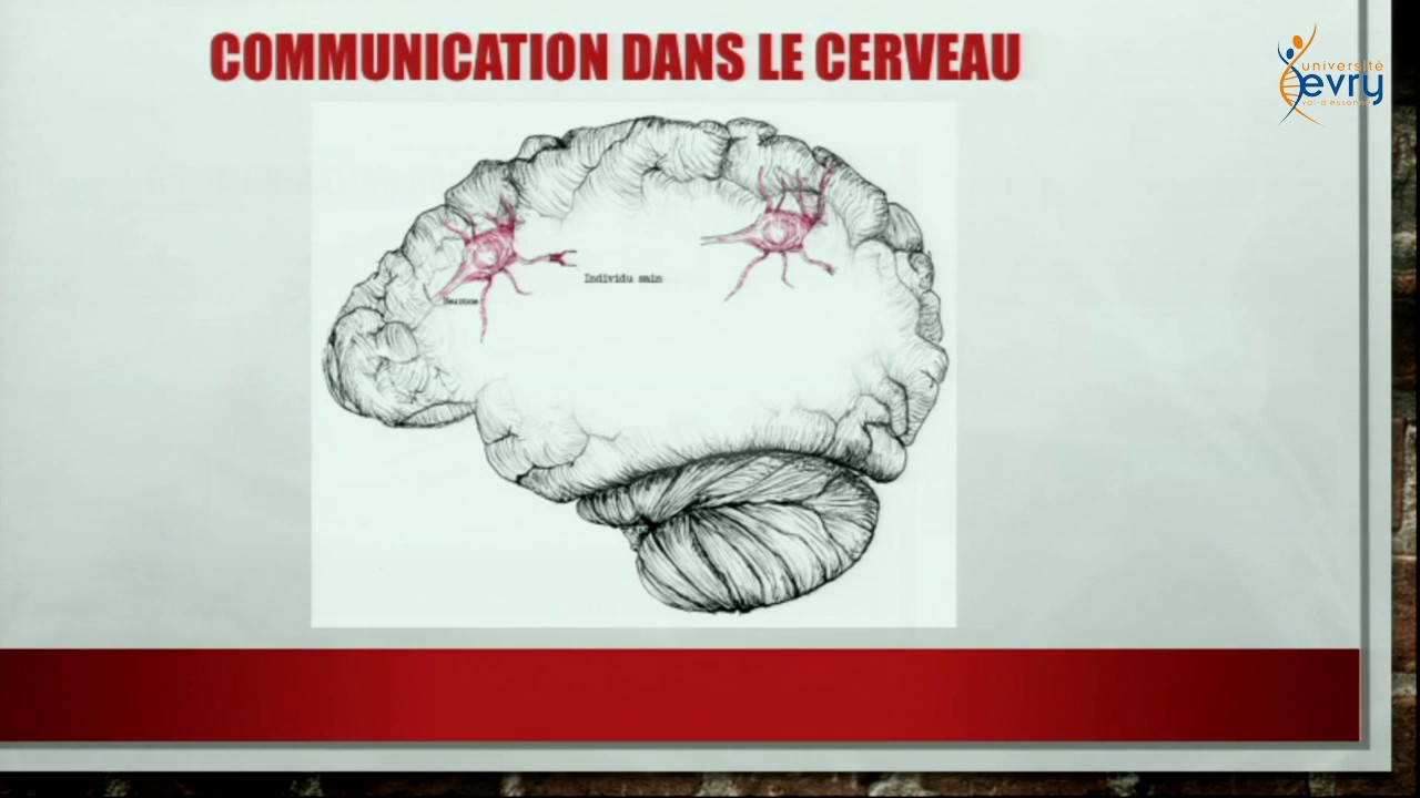 12 - L'autisme une maladie genetique