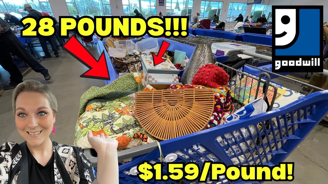 Pulling 28 POUNDS of Items From The GOODWILL BINS! RARE + VINTAGE + DESIGNER = 🔥🔥🔥+HAUL