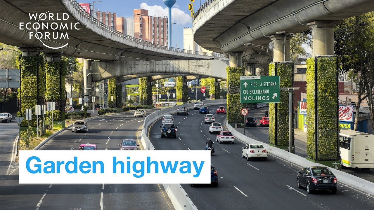 Mexico has an incredible, recycled garden on a highway | Ways to Change the World