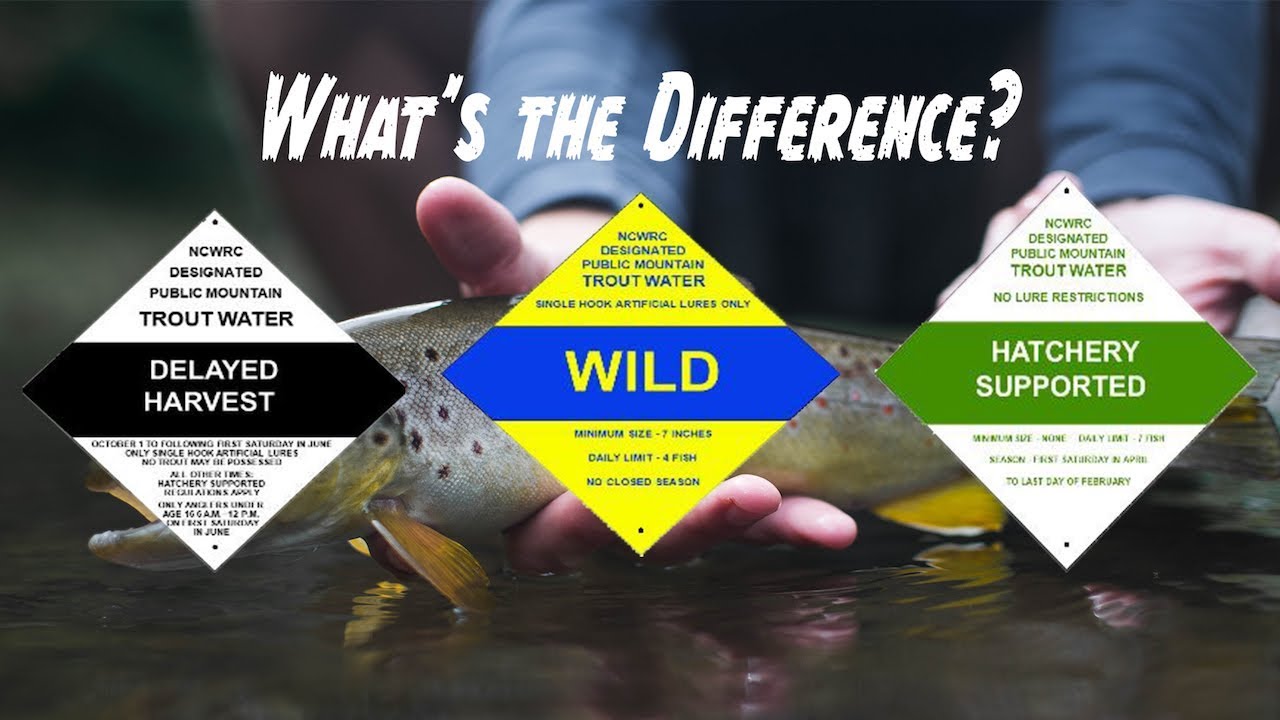 North Carolina Stream Regulation Breakdown