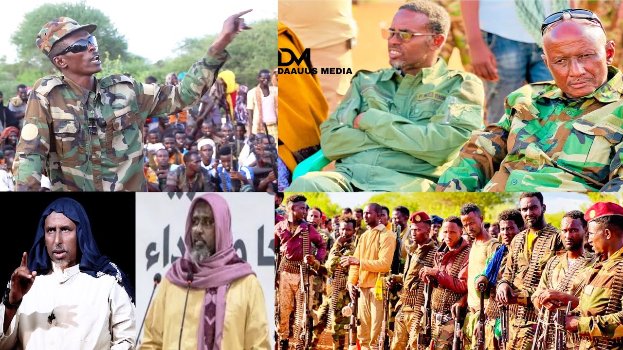DAAWO: Beelaha Habargidir, Murusade & Xawaadle Oo Ku Midoobay Dagaalka Alshabaab