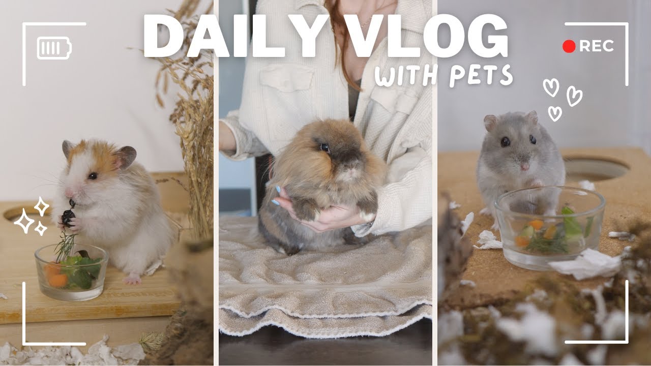 A Regular Day with Pets | Pet Vlog