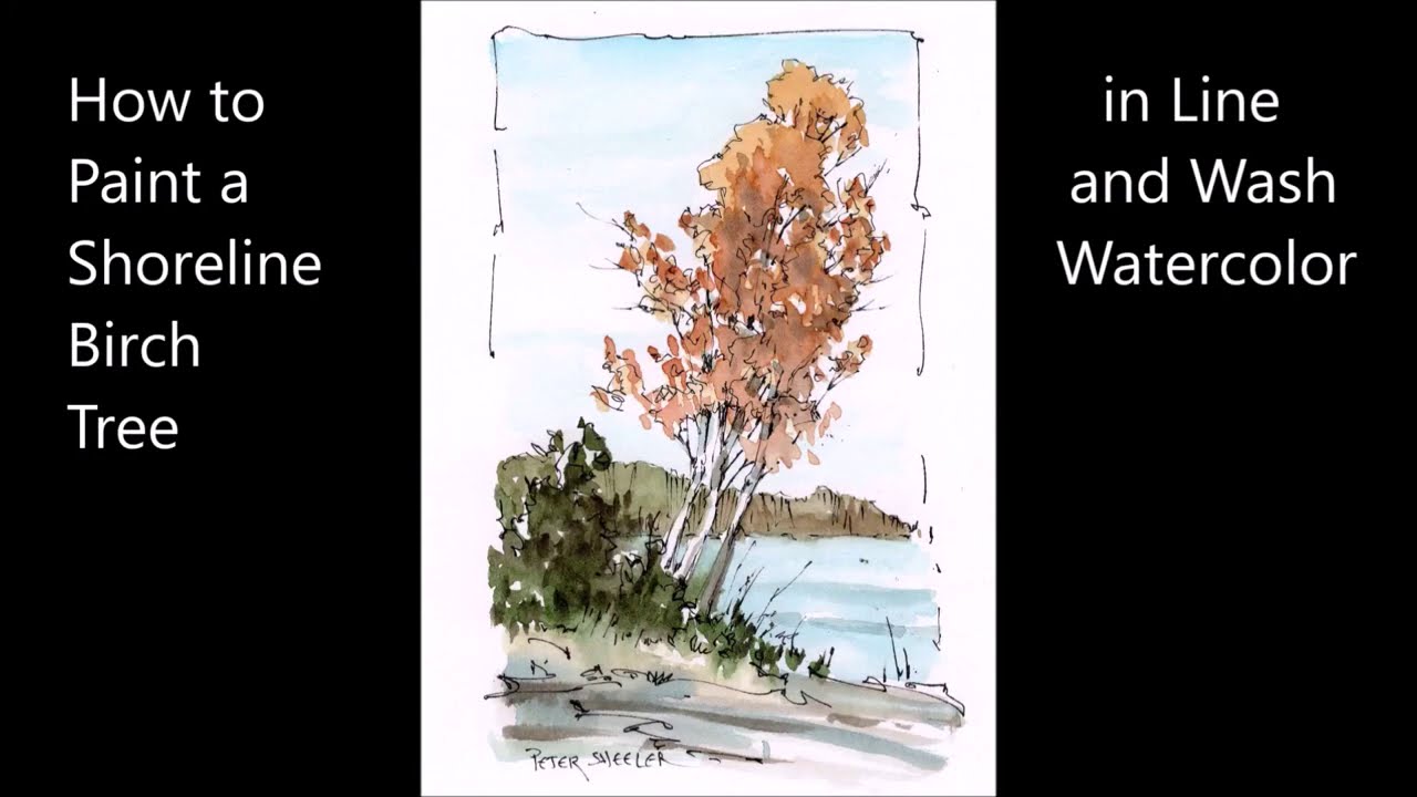 Shoreline birch trees. Line and wash watercolor. Just one brush and minimum of colors. Peter Sheeler