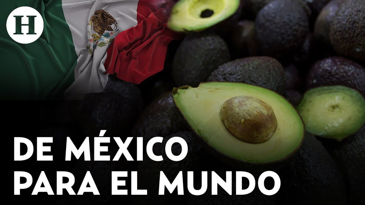 México es de los principales exportadores de fruta en el mundo