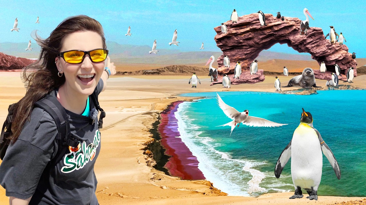 PARADISUL SECRET al LUMII: Insulele Ballestas 🏝️ Plajele perfecte din deșert