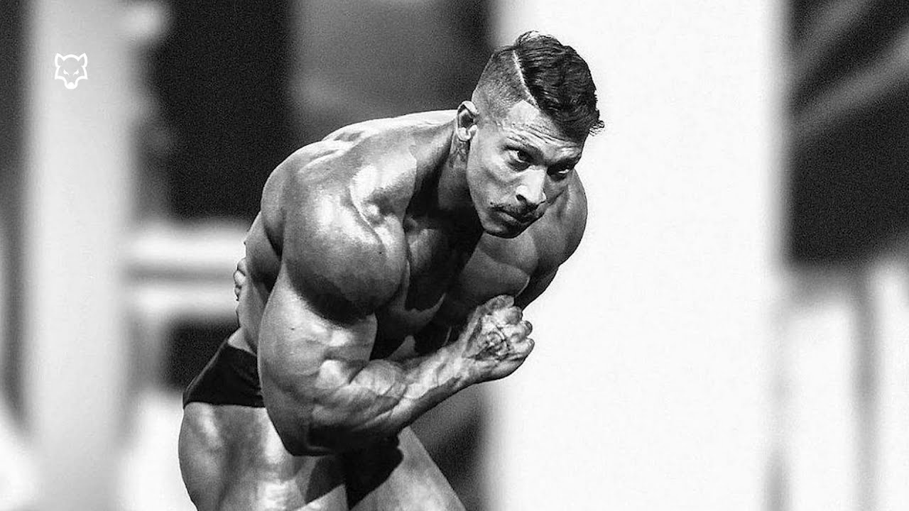 BAD WOLF 🐺 - Ramon Dino Pro