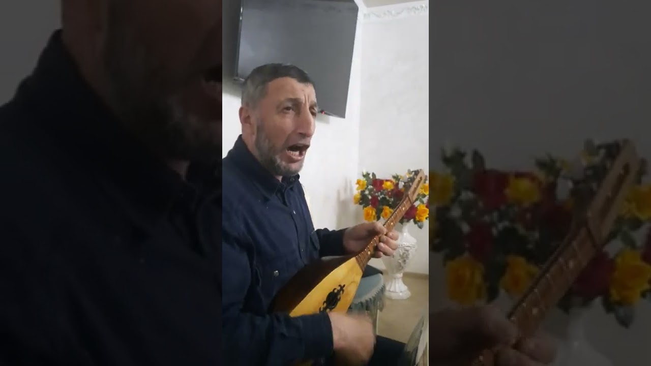 Джамалай, илли 