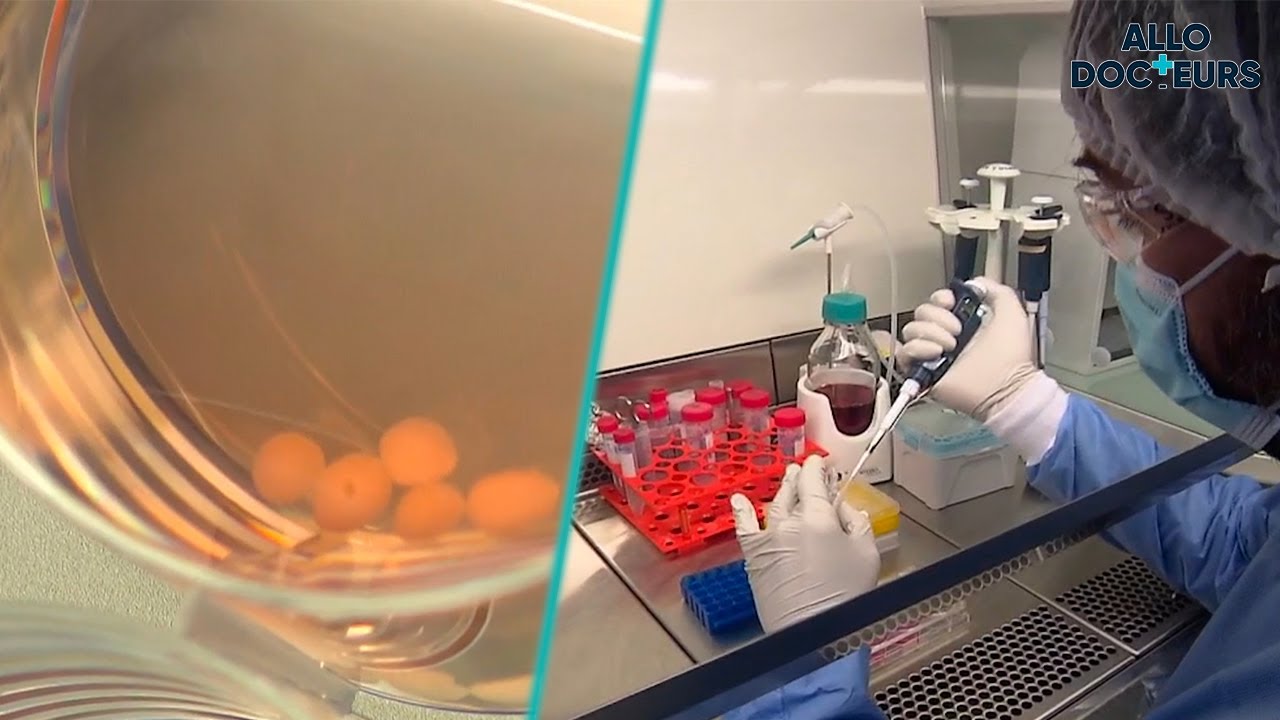 🧐 ORGANOÏDES : des organes humains créés en labo