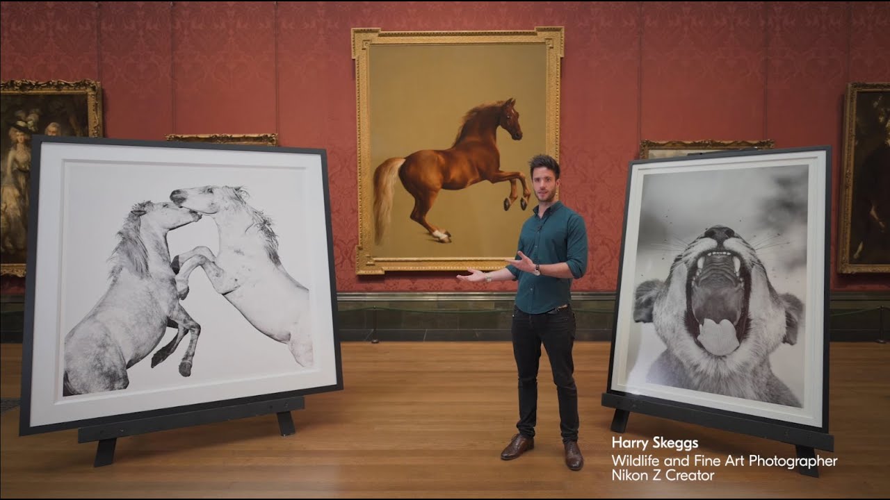 Nikon x National Gallery: Taking inspiration from Fine Art with photographer Harry Skeggs