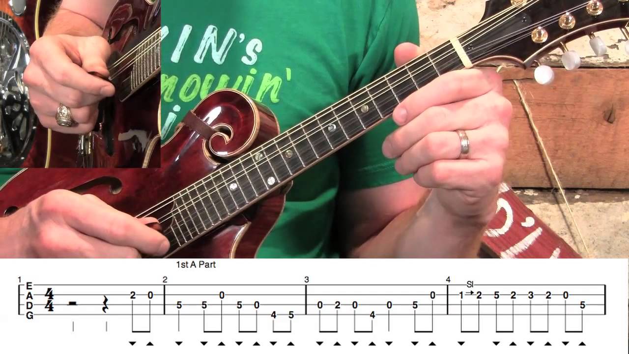Mandolin Lesson for 