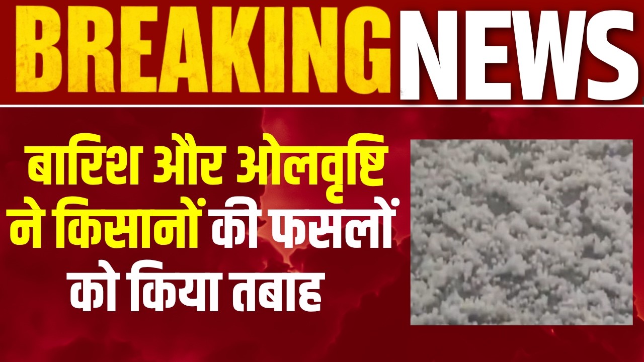 Weather : कश्मीर में मौसम का कहर! बांदीपोरा में ओलों से फसलों को बड़ा नुकसान  | India News