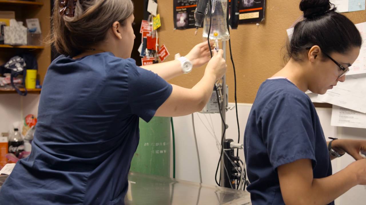 Welcome to Exotic Animal Care Center