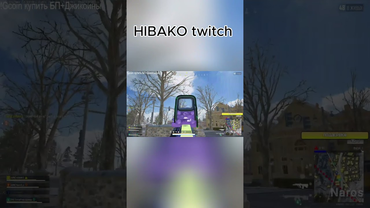 HIBAKO twitch  Молик