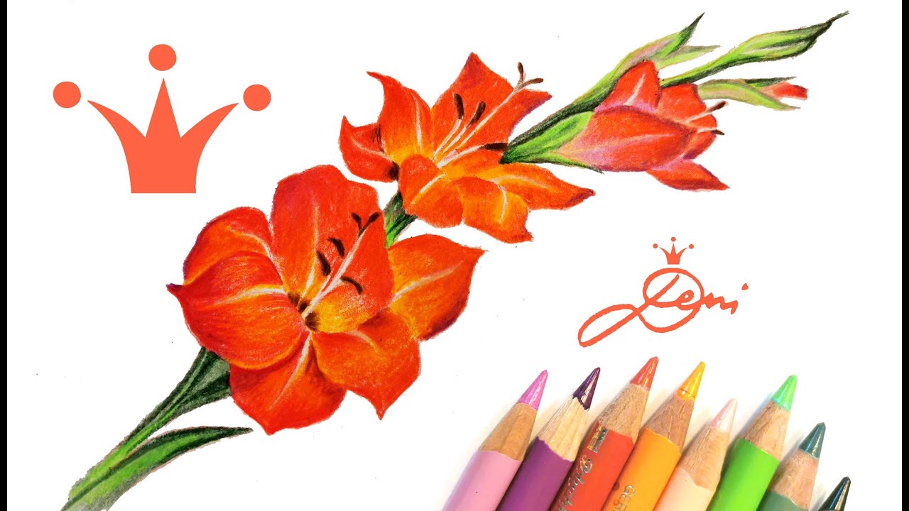 Gladiole zeichnen lernen 🌹 Blume Zeichnung Schwertblume 🌹 realistisch und schnell 🌹 drawing flower