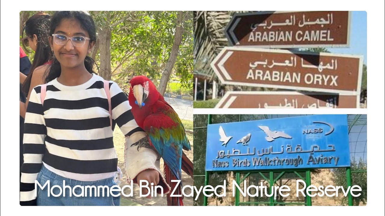 (Bahrain vlog 12 🇧🇭): Mohammed Bin Zayed Nature Reserve (previously known as Al Areen Wildlife Park)