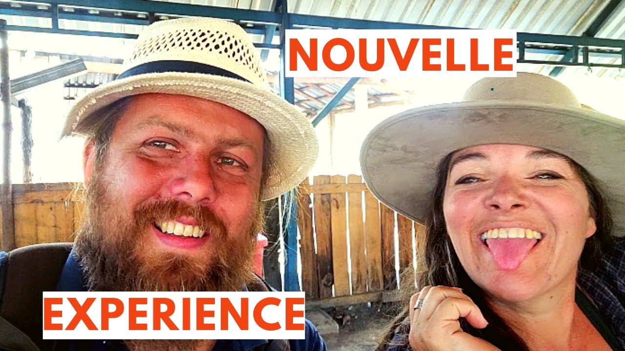 NOUVELLE EXPERIENCE : ascension du PLUS jeune volcan du nouveau MONDE