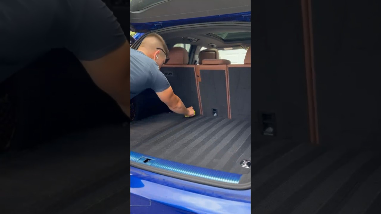 Carpet lines ✅ #detailing #detailgeek #detailingpro #asmr #entrepreneur