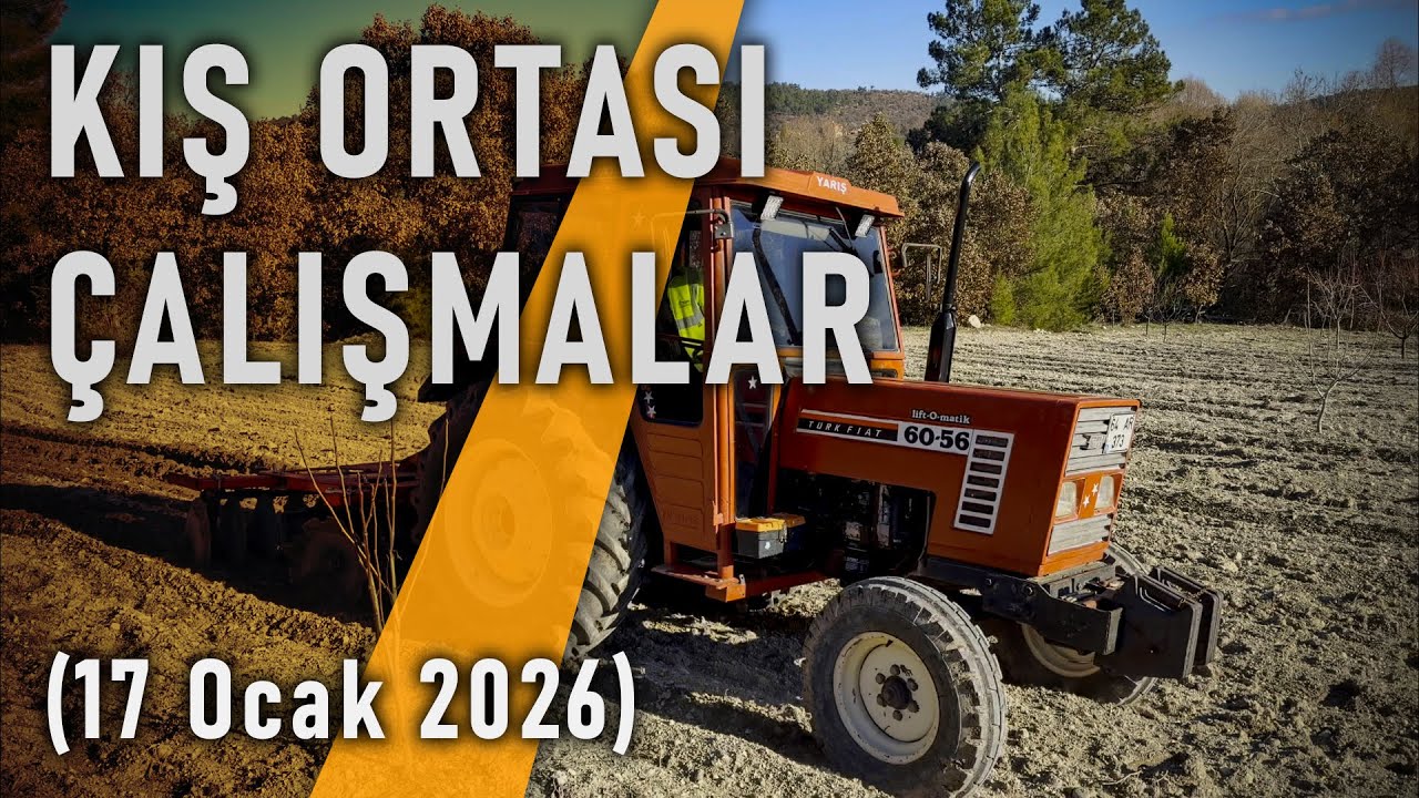 Kış Ortası Çalışmaları (17 Ocak 2026)
