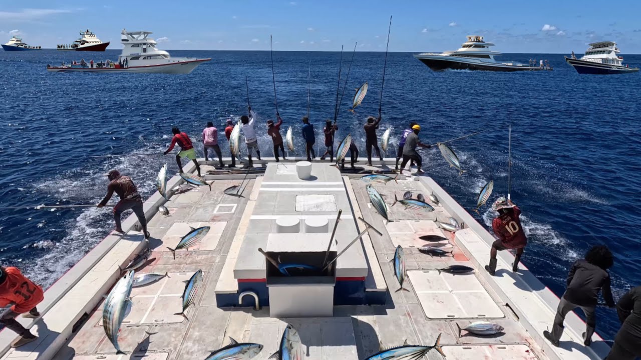 MOST SUSTAINABLE FISHING METHOD pole and line fishing
