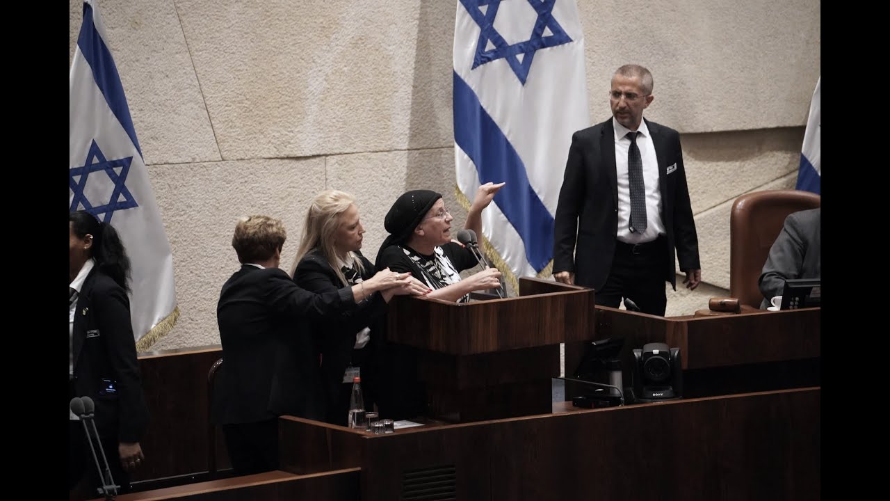 מהומה במליאה במהלך אישור החוק 
