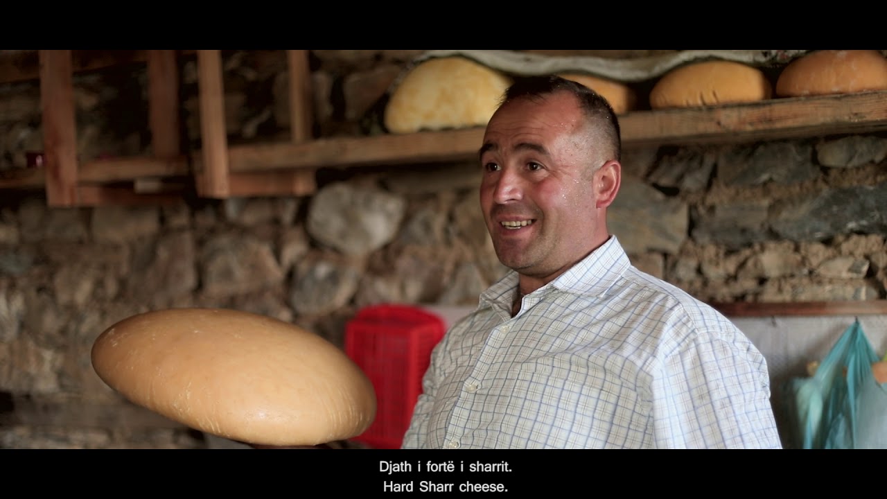 BJESHKËT E SHARRIT / Procesi i përgatitjes së Djathi i Sharrit