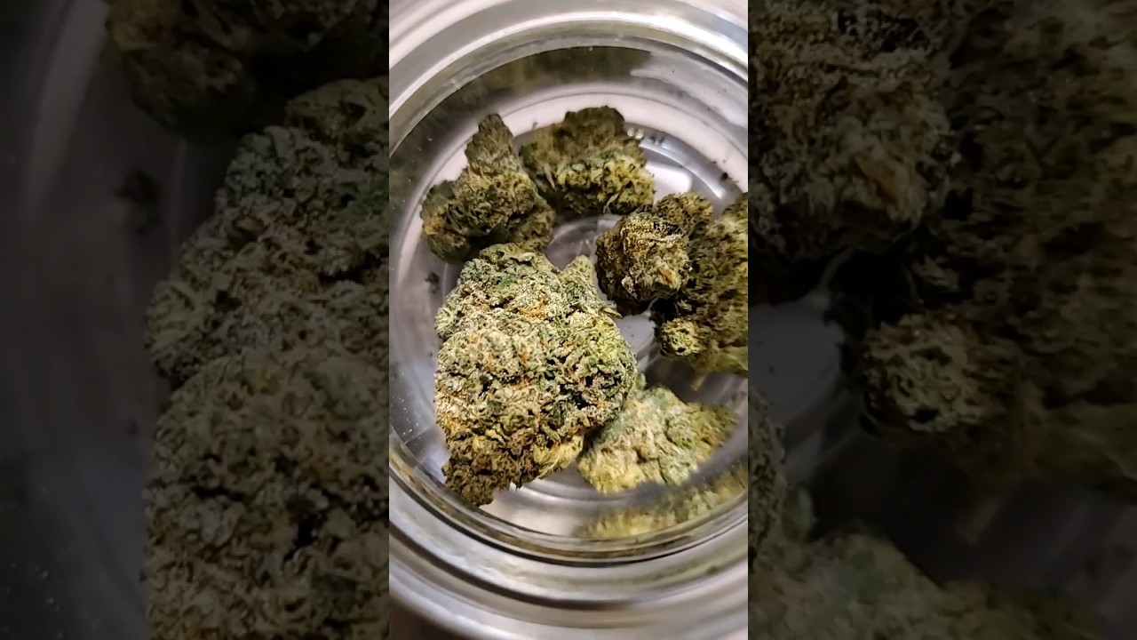 AIR GELATO By FLORACAL FARMS! FULL REVIEW.