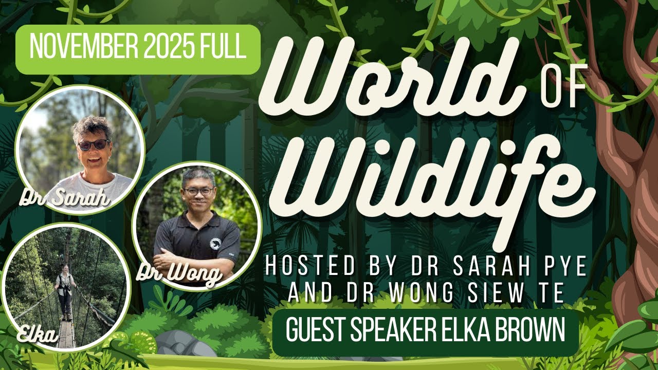 [WOW] Full World of Wildlife Livestream [November25]