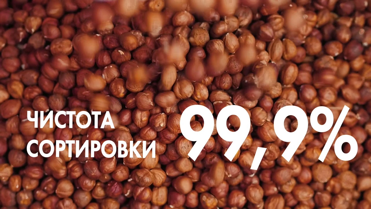 Оптическая сортировка фундука | Усовершенствованная модель фотосепаратора от компании  Meyer