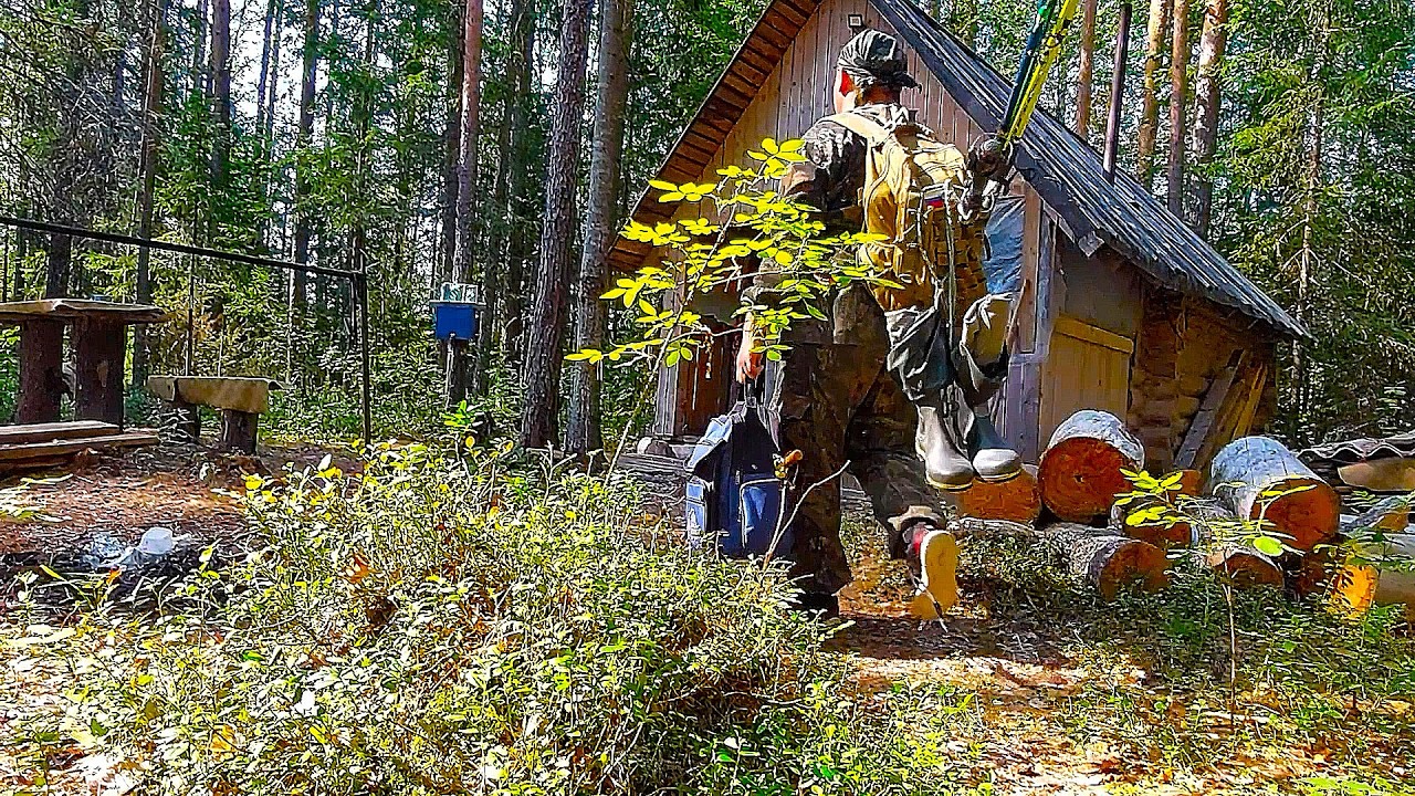 Лесная ИЗБА - уютный ДОМ. Как вести себя в избе? Негласные правила. Самая большая опасность для изб!