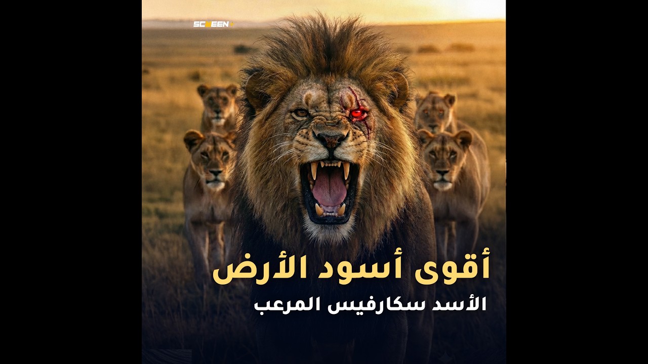 قصة أخطر وأقوى أسد في تاريخ الأرض
