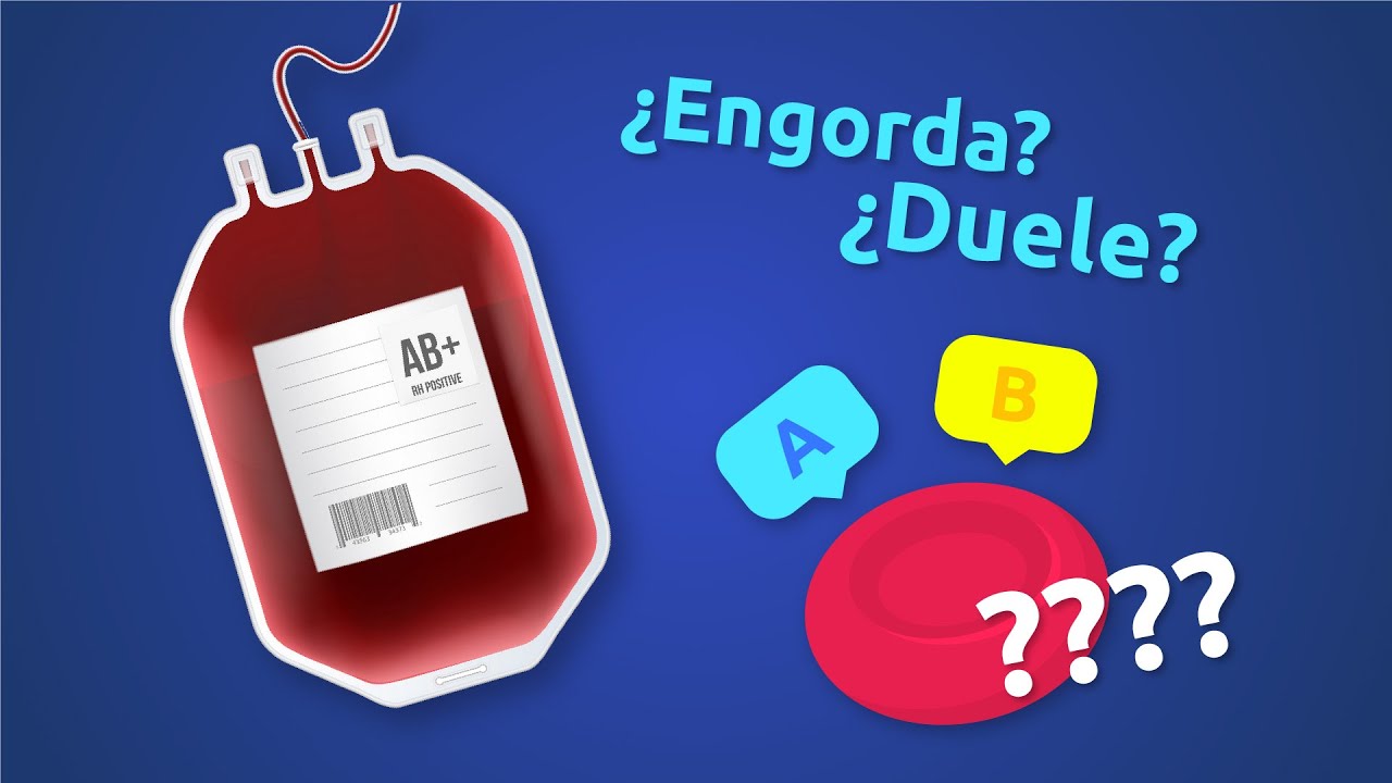 Todo sobre la donación de sangre