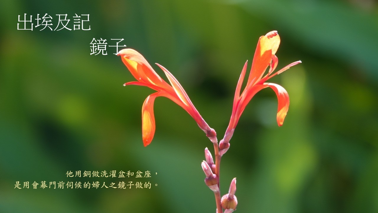 靈修: 出埃及記-鏡子 20260228