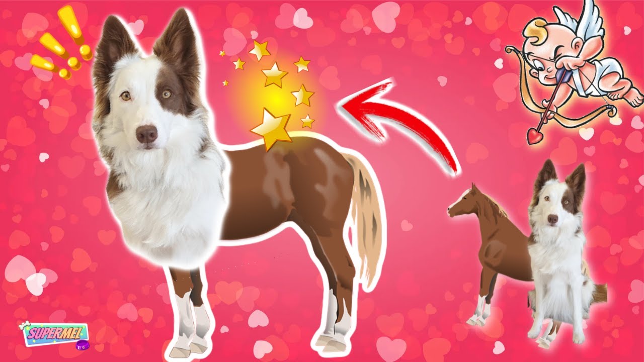 JUGAMOS a SER CUPIDO en SAN VALENTIN *MUY LOCO* Mel Gamer