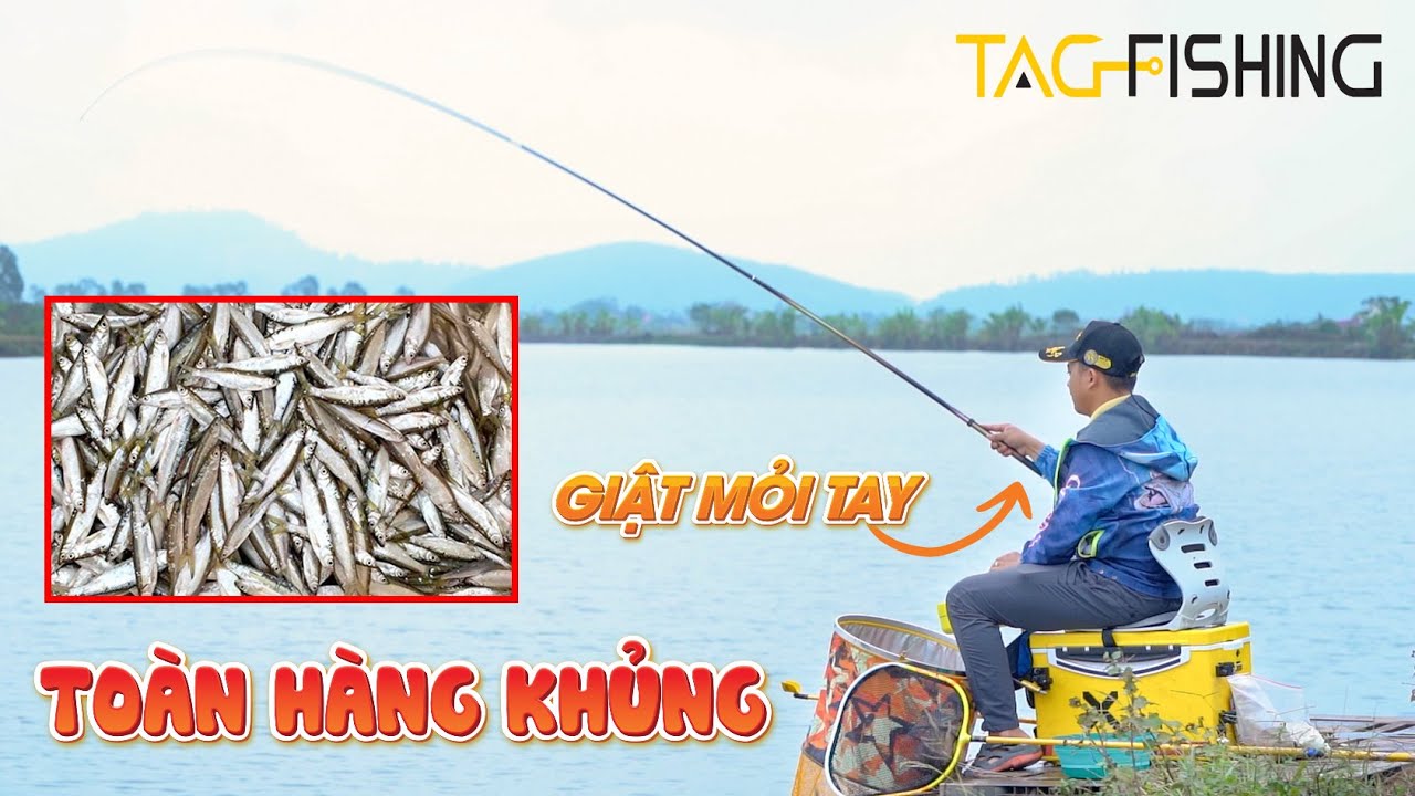 Câu Cá Giải Trí | Câu Loài Cá Mà Cần Thủ Nào Cũng Ghét Cay Ghét Đắng