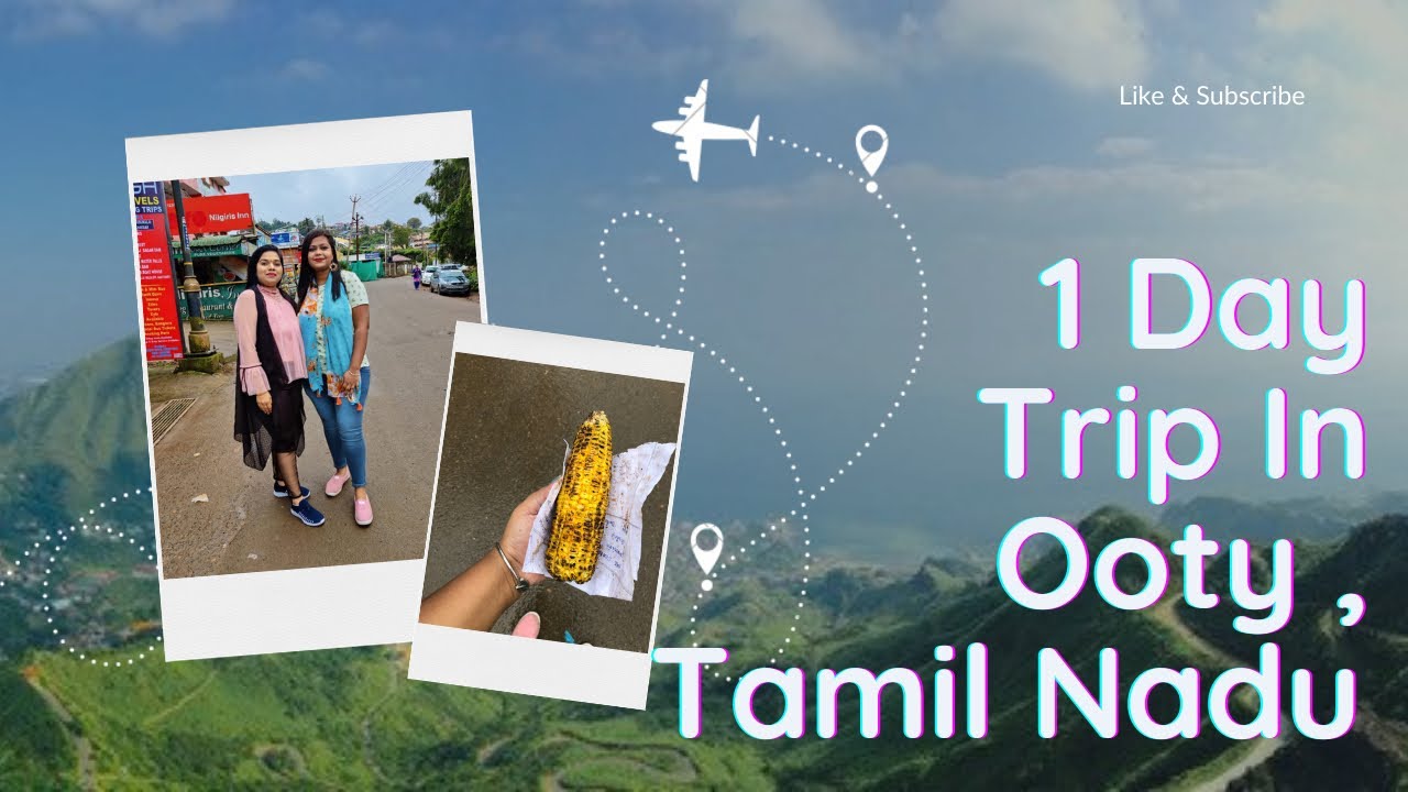 Shopping experience in Ooty hills 📍Shooting point Ooty| We saw peacock 🦚 in Bandipur forest