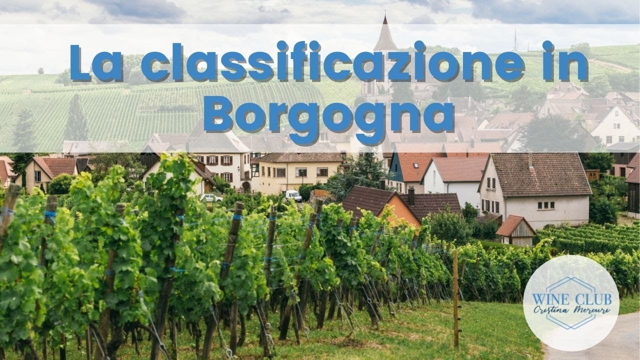 Classifcazione Borgogna