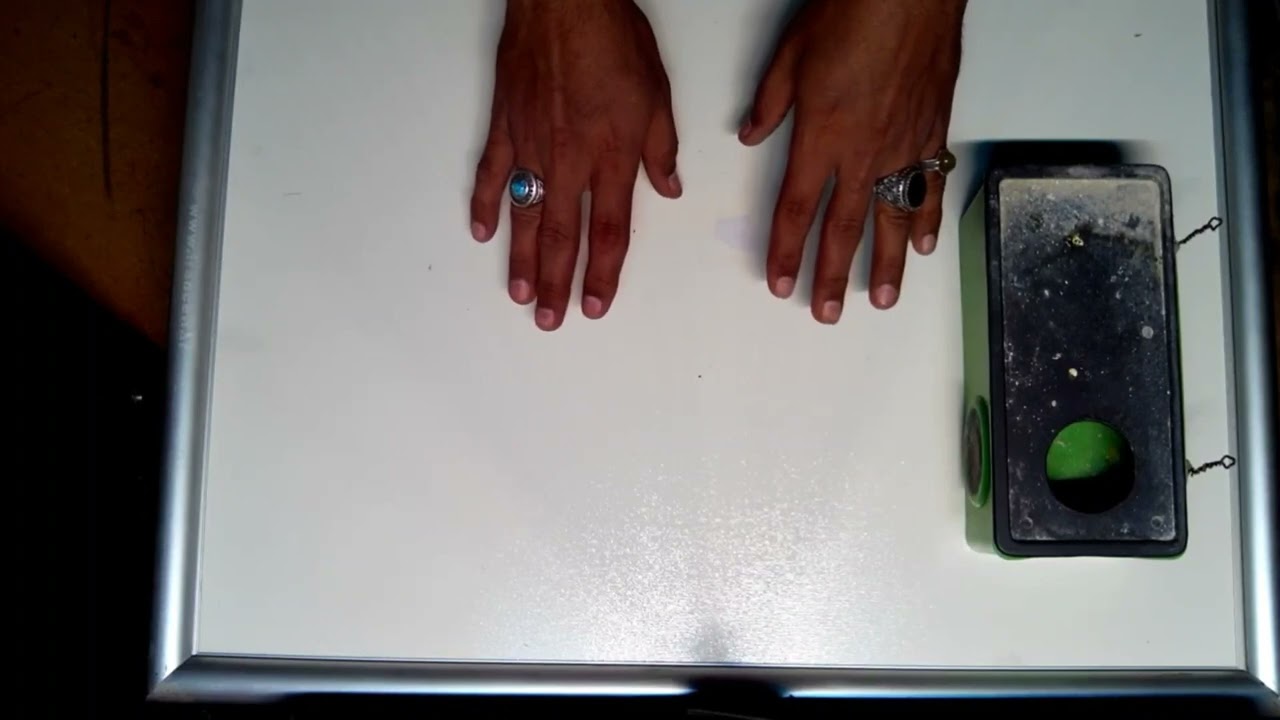 نشانه های جفتگیری مرغ عشق