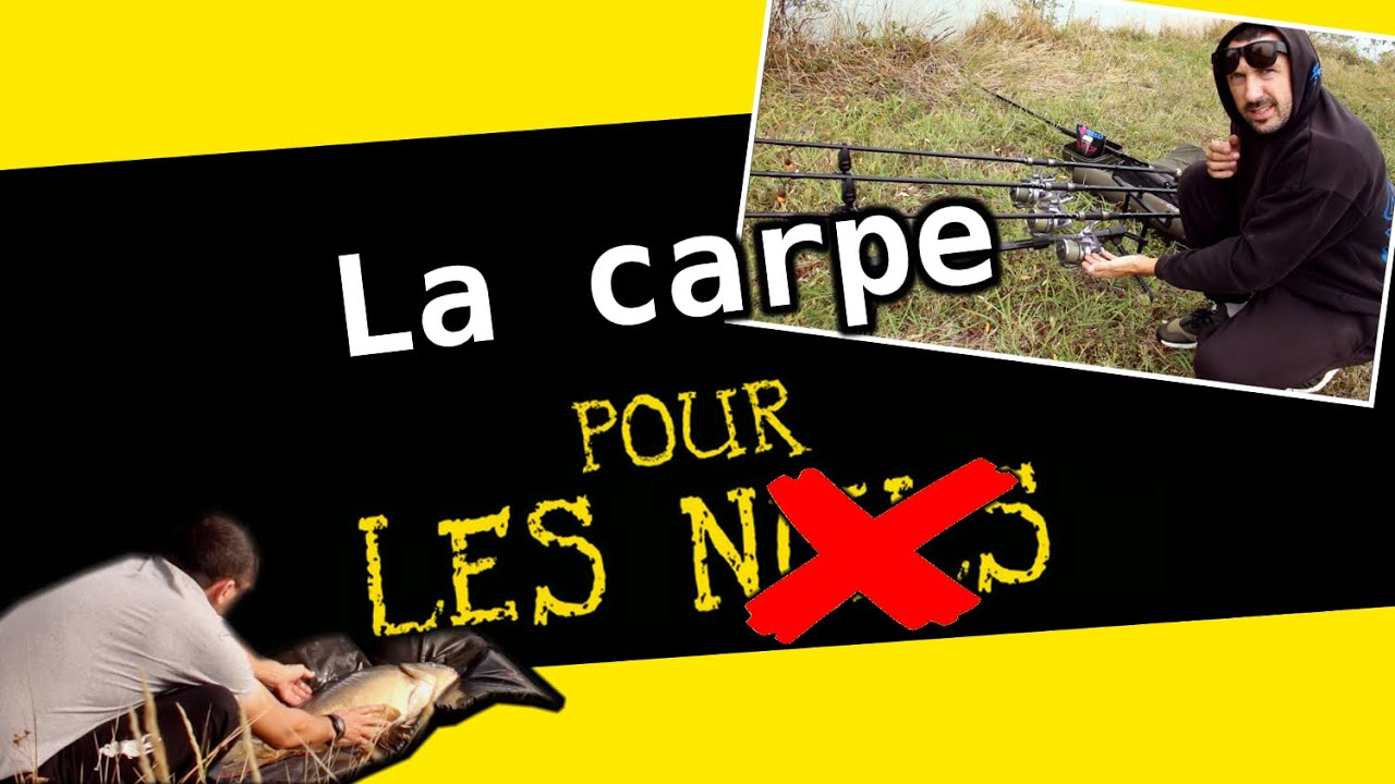 CARPE DÉBUTANT | On t'explique TOUT de A à Z !!! (poisson, matériel, mise en place des cannes...)