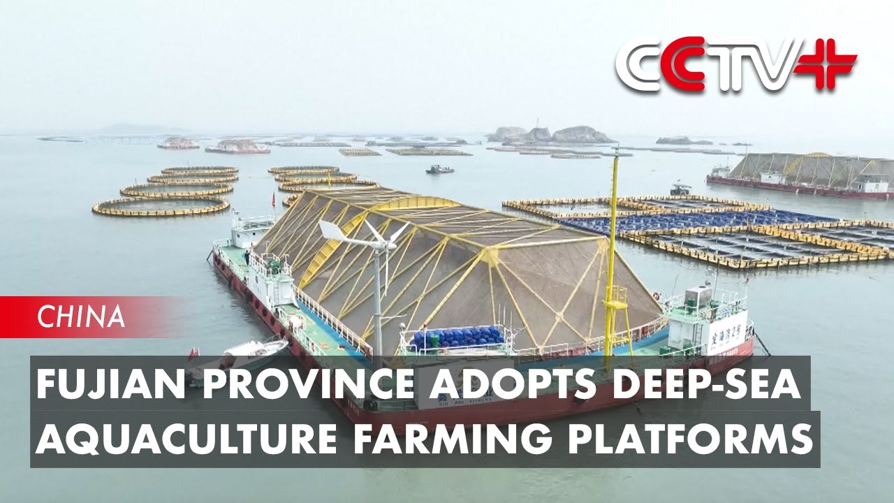 Fujian Province Adopts Deep-Sea Aquaculture Farming Platforms