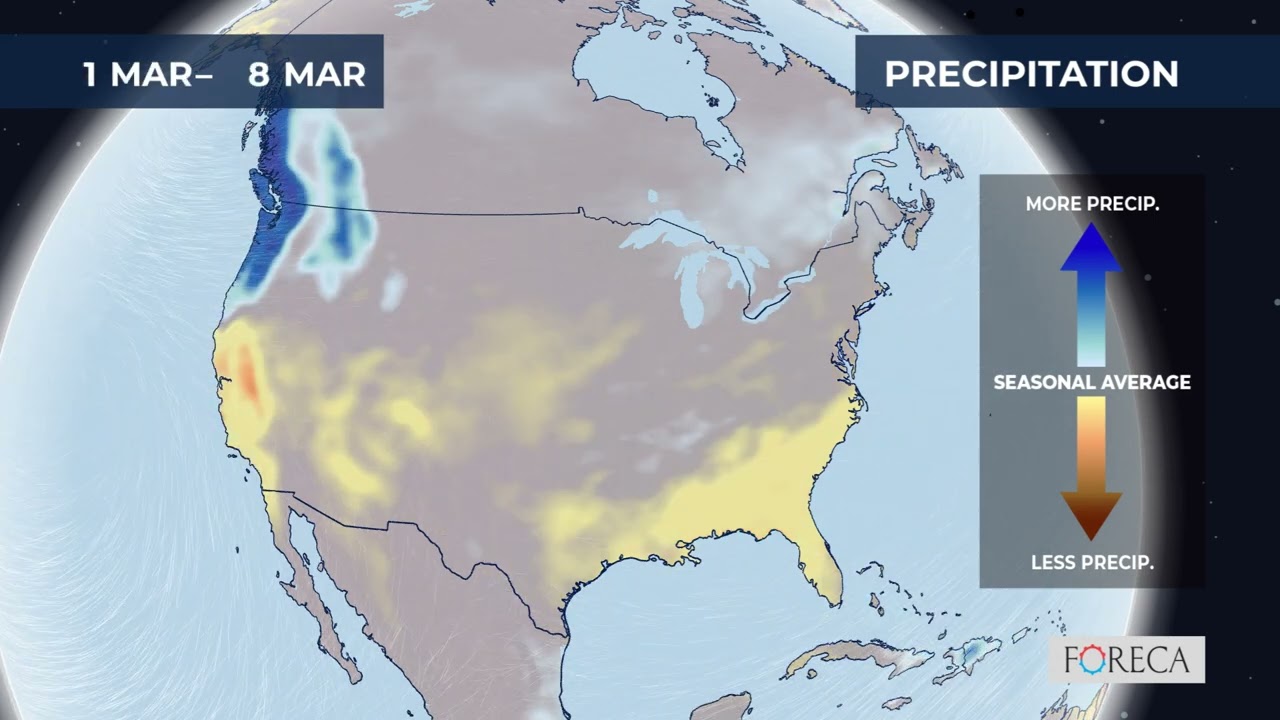 Monthly precipitation forecast for the USA 2/16/2026