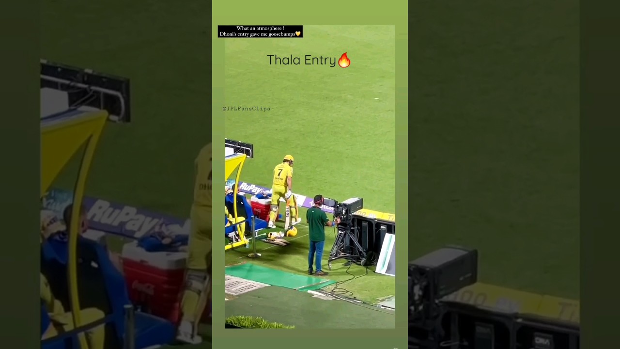 The energy at Eden Gardens is unmatched when MS Dhoni steps on the field!🔥 #msdhoni