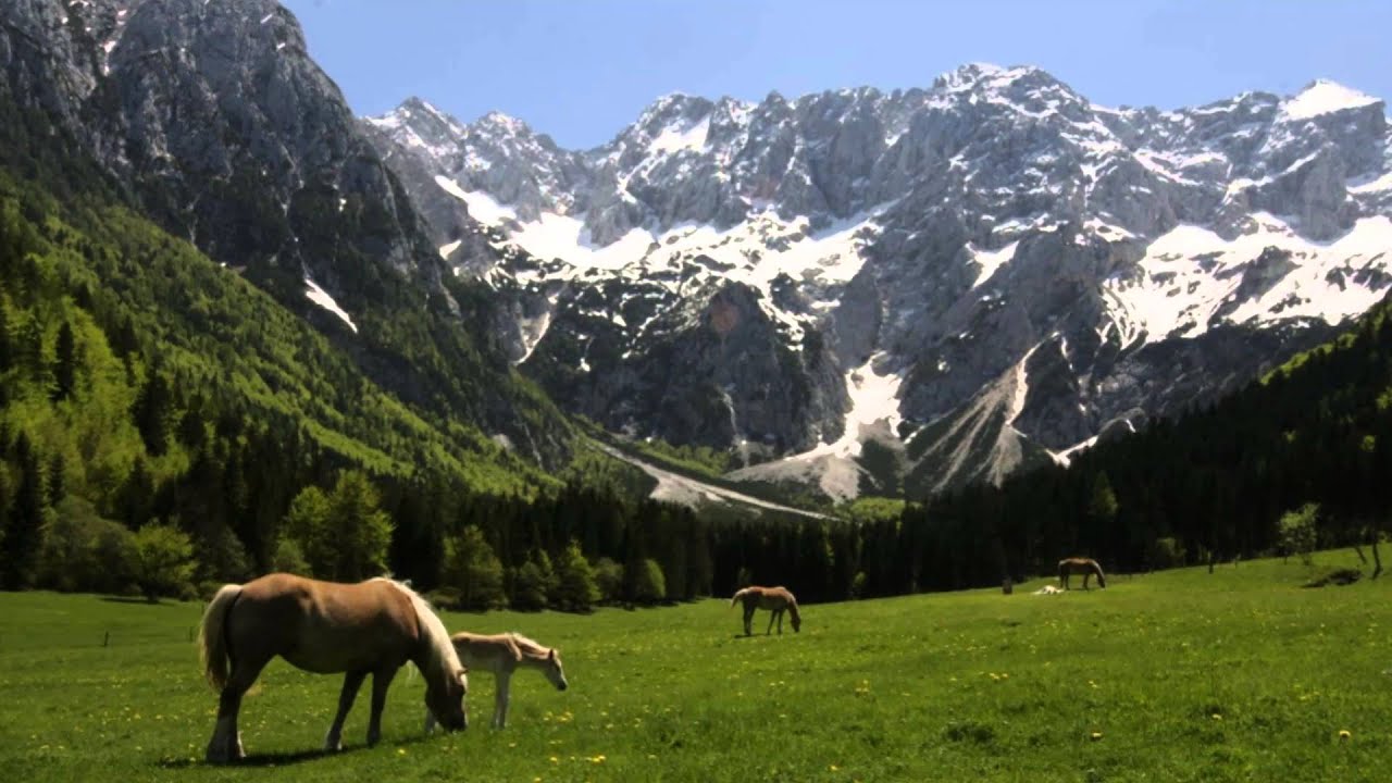 Toni - Odmev s Triglava