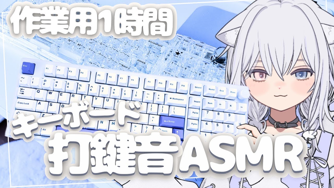 【1時間/ポロモード方式作業用タイピングASMR】お気に入り打鍵感のメカニカルキーボード音🎵一緒に作業しよう