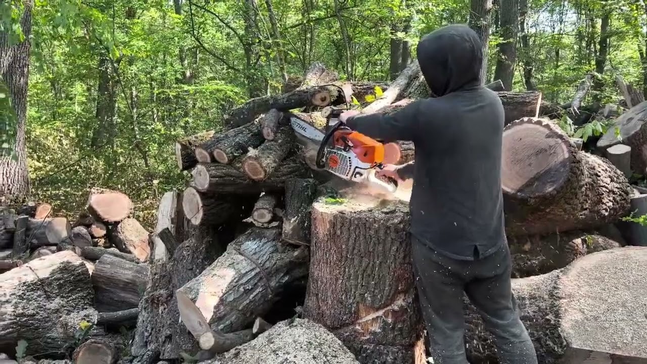 Biggest Logs Ever Cut &ndash; Brutal Forest Work