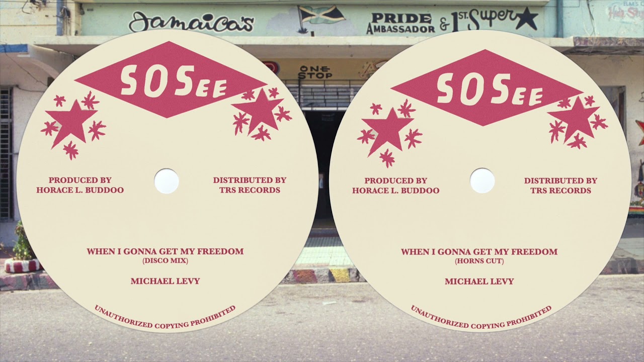 MICHAEL LEVY - When I Gonna Get My Freedom
