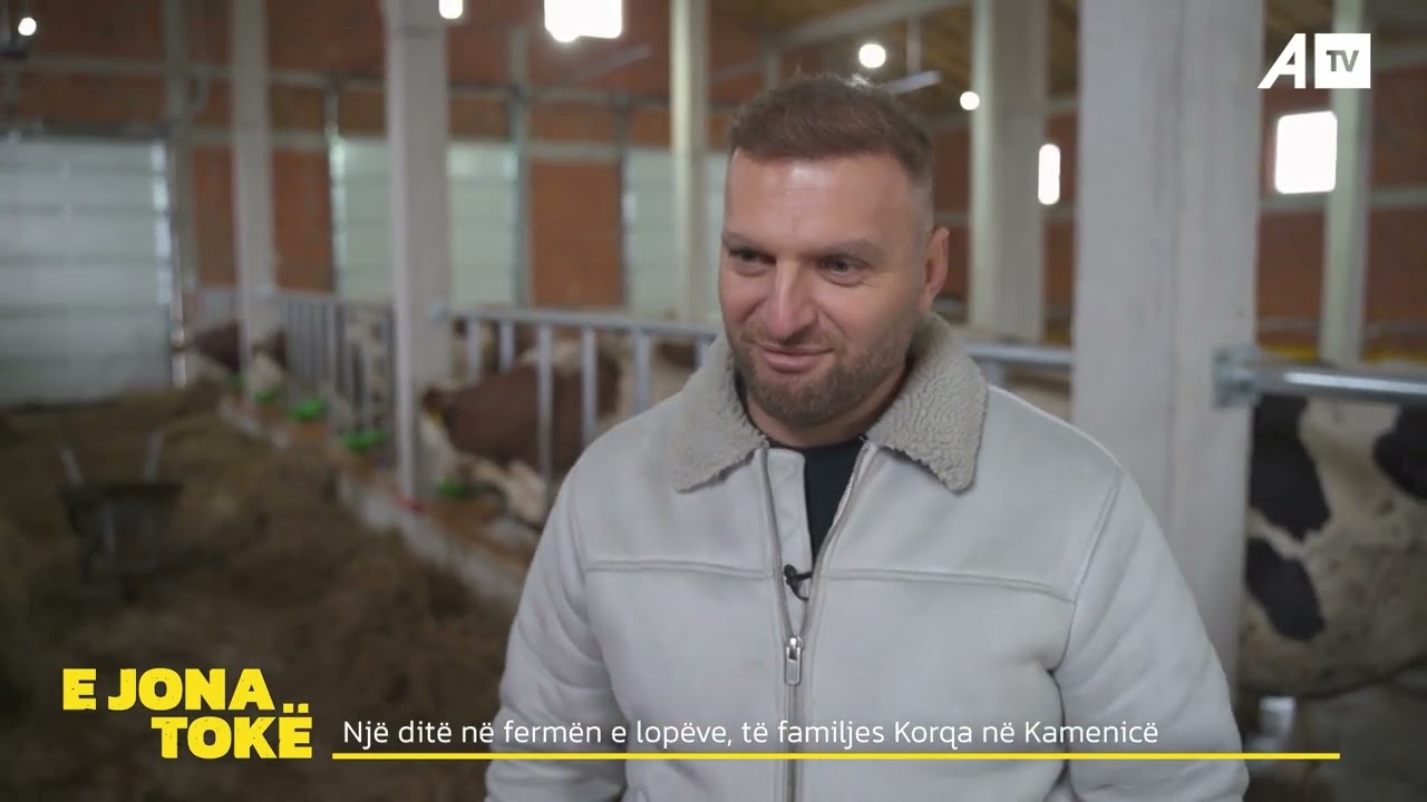 Një ditë në fermën e lopëve, të familjes Korqa në Kamenicë