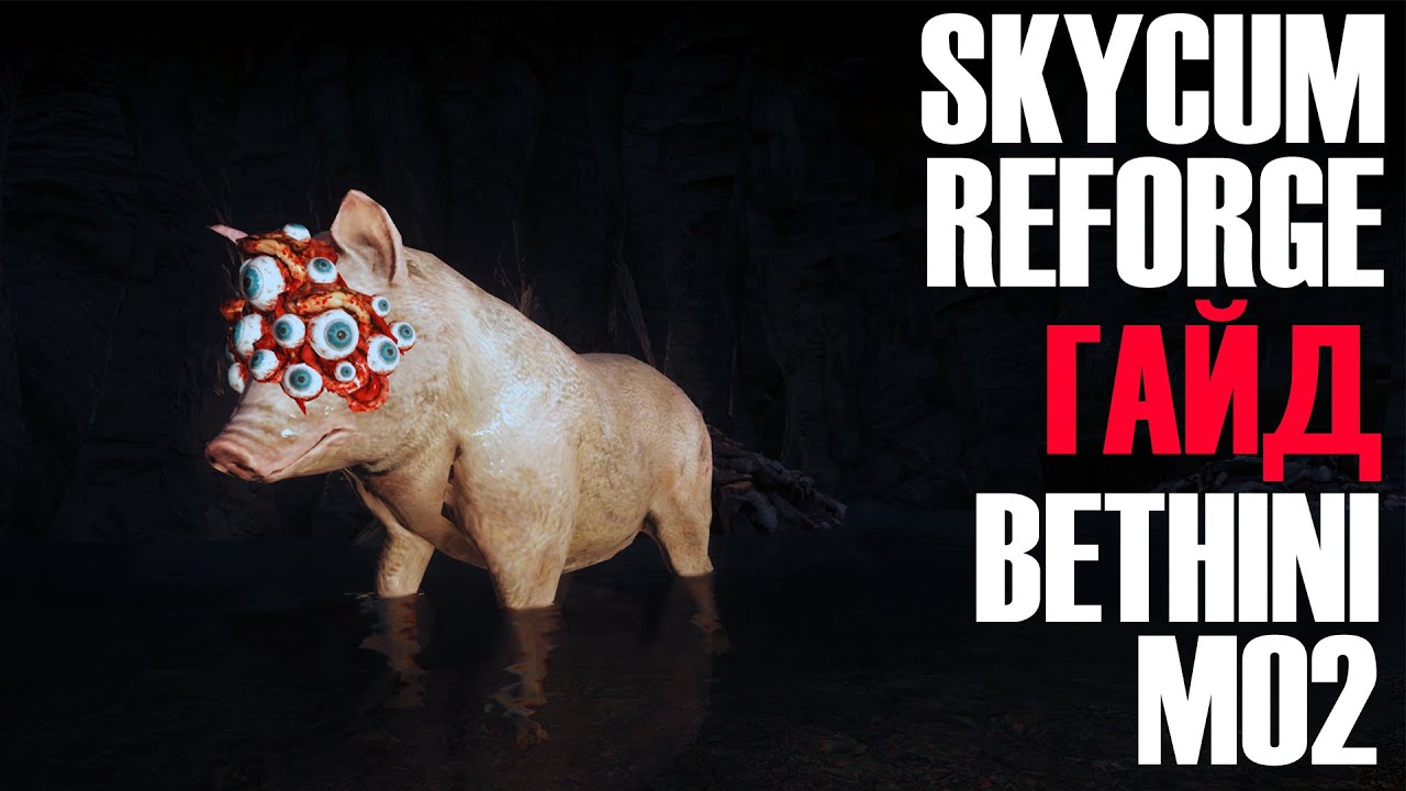 SKYCUM REFORGE - ГАЙД ПО УСТАНОВКЕ MO2+BETHINI