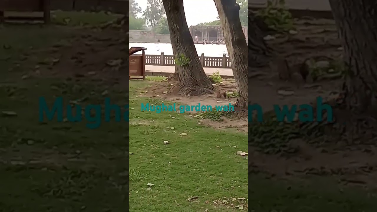 mughal garden wah visit with family my favorite place beautiful location #video #