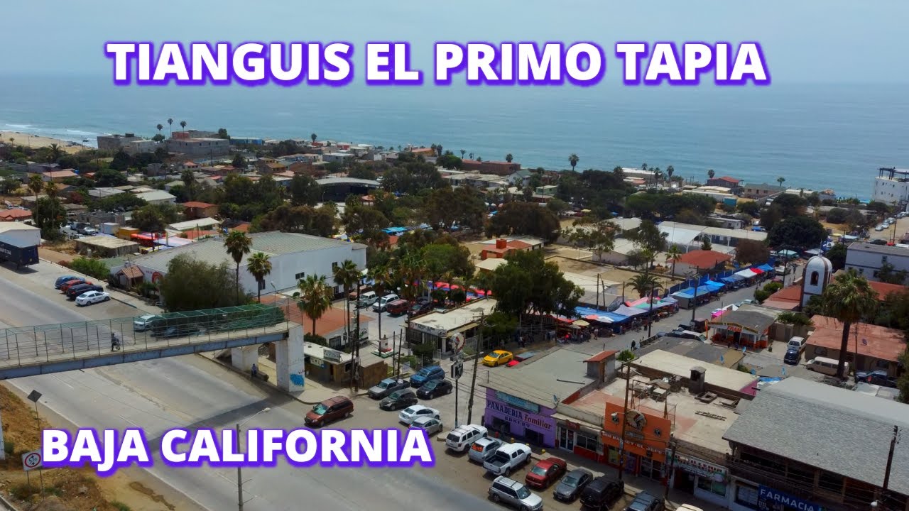Tianguis El Primo Tapia Rosarito | Baja California | De Aventuras